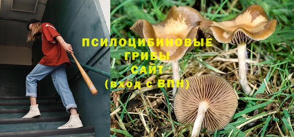 дурь Бугульма