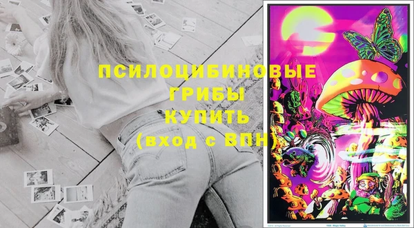COCAINE Бородино