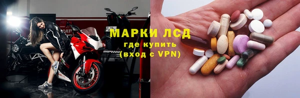винт Верея