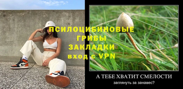твердый Бронницы