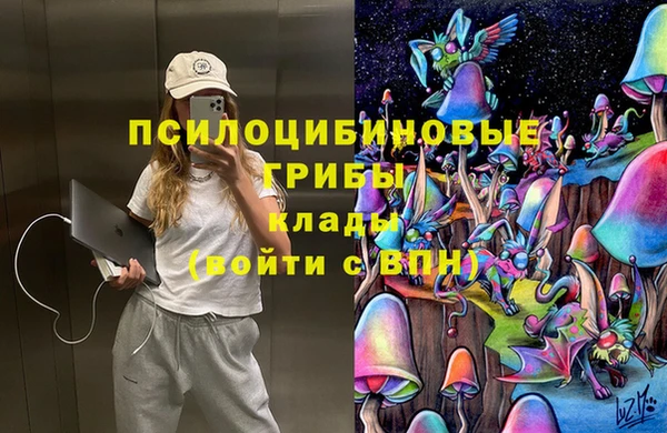 COCAINE Бородино