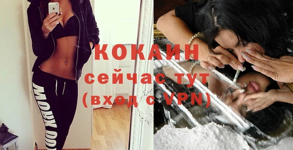 винт Верея