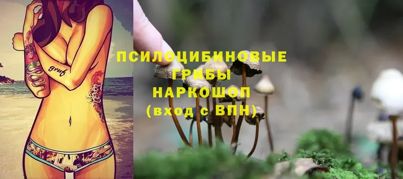 Галлюциногенные грибы Magic Shrooms  Верхняя Тура 